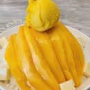 카페밤빙고