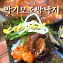 낙지의 전설 네이버블로그