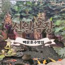 [의왕 백운호수 맛집]식물원이 멋진 정육식당 선일목장 내돈내산 후기