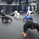 팀크러쉬주짓수
