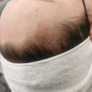 라비에벨헤어 이미지