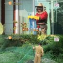 장수장식 이미지