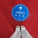 봉산경로당 | [사전점검#2] DMCSK뷰아이파크포레 사전점검 행사와 룰루랄라 단지 구경👀