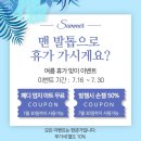 페디랩 이미지
