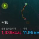 이끼계곡 추천코스/ 장구목이-마항치-자연휴양림 코스/ 대구 안내산악회(드림산악회)로 다녀온 후기