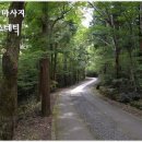 코지에스테틱 이미지