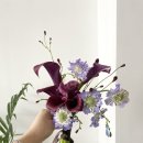 유토피스트 이미지