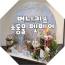 빌플렉스 | 버니키스 소동물펫페어 6회 현대백화점 신촌 유플렉스 방문 후기