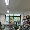 버블노래방 이미지