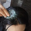 태극반점 이미지