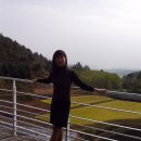 상미 Daum카페