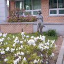 무릉보건진료소 이미지