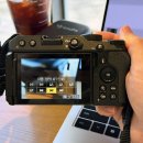 내 손안의 하모니카 : 입문 | 가성비 미러리스 카메라 입문 추천에 니콘 Z30 경복궁 출사 후기