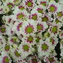 동산농원 이미지