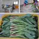 인철농장 이미지