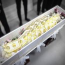 세종문화원 | 여주시민장례문화원 비용 위치 큰 도움 주기