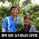 보은대추산외농원