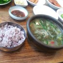 명수정 이미지