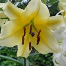 피아골농장펜션 이미지