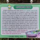 상복리샘터 이미지
