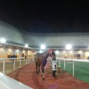 승용목장 이미지