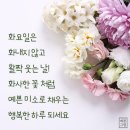 따뜻한 화요일 인사말 이미지 이미지