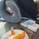 바니투어 이미지