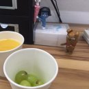 상콤스타 이미지