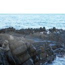 양남주상절리 이미지