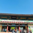 가온어린이집 | 광진구 어린이대공원 동물원 주말(일요일) 봄 나들이 방문 후기(운영시간, 동물종류, 주차장) 입장료 없음