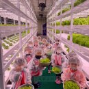 무등어린이집 이미지