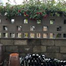 고운채 스테이 이미지