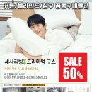 세사리빙세종 | <나성동 세사리빙 세종청사점> 로우드(Lowood) 프랑스산 프리미엄 덕 다운 차렵이불 50% 할인