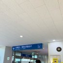 은혜카써비스 | 대마도 1박2일 가족여행 일정 히타카츠 렌트카, 에어비앤비, 면세품 쇼핑