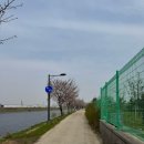 CU 아라뱃길귤현점 | 굴포천에서 아라뱃길,아라마루까지 벚꽃 현황