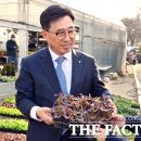 한국농수산식품유통공사화훼공판장 이미지