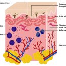 늘샤인 의원 이미지