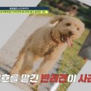 비밀