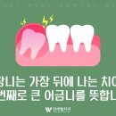 연세웰치과의원 이미지