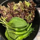 구남돼지집 이미지