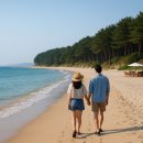 달빛 게스트하우스 | 📌 2025 여름휴가 가성비 숙소＋찐맛집 이 코스로 끝!