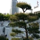 울산광역시문화예술회관소공연장 이미지