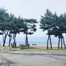산토니아커피 이미지