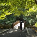 일락사입구 주차장 | 서산 여행코스 셋째날