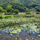 연꽃단지 공중화장실 | 화천 서오지리 연꽃마을 자전거 라이딩