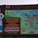 대장금마실길(5코스) | 대장금 마실길 1~5 코스 후기
