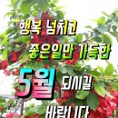 주차54 이미지