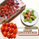 동이농산 | 맛있는방울토마토 대현농산 대추방울토마토2KG 주문했어요