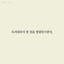 삼백육십오 이미지