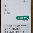 시발우리집 막둥이 생애 처음으로 아이돌 보러 가서 엄마한테 문자보낸 꼬라지봐.twt 이미지